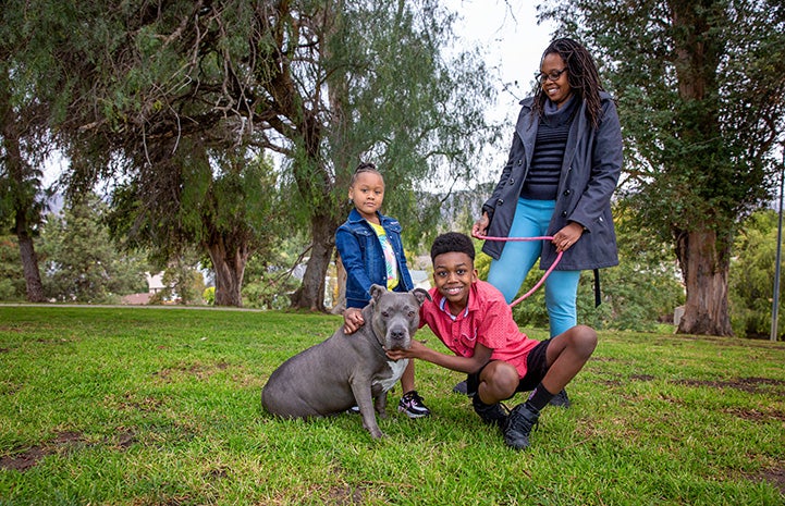 The whole family including Lola the pit bull terrier in the grass with trees behind them