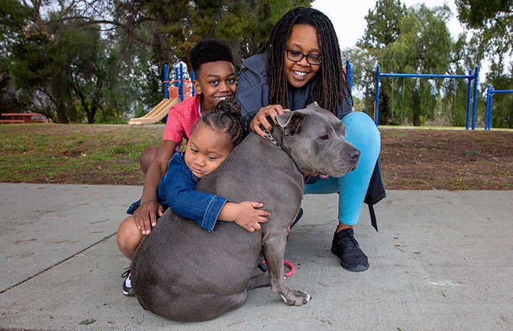 Young girl give full-body hug to Lola the pit bull while woman and young man smile