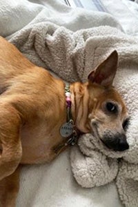 Stevie Nicks lying on a bed