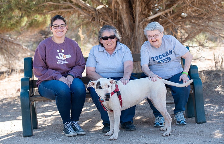 Yuma the dog standing in front of three women sitting on a bench