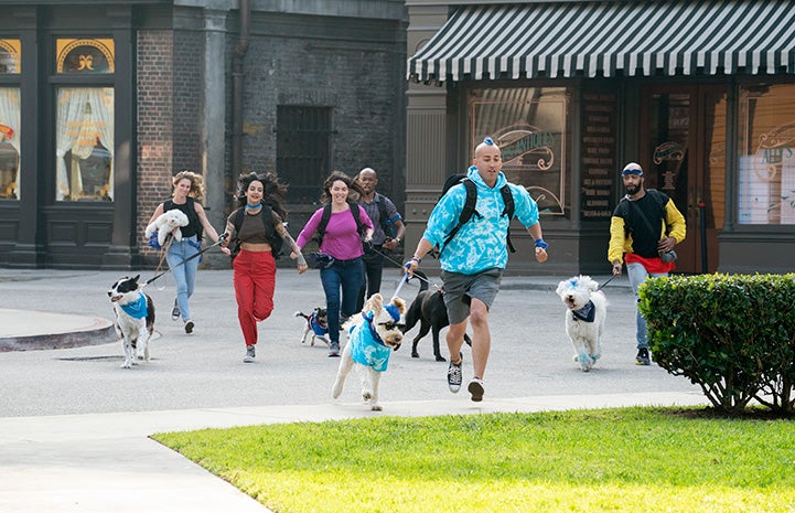 Contestants from The Pack show running with their dogs on leashes