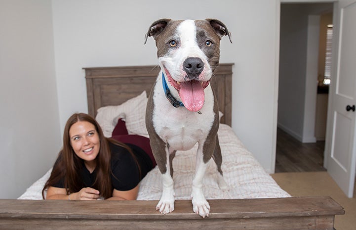 Neville the dog standing up on a bed with Jacqui Campos smiling behind him