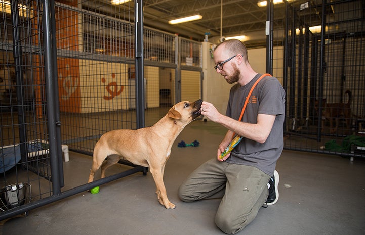 Greg Bechdol, the center’s lead adoptions specialist, works with Ann Perkins the dog