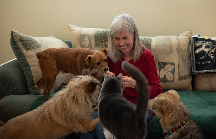Local volunteer Fredi Miller sitting on the couch holding a treat with three dog and a cat all interested