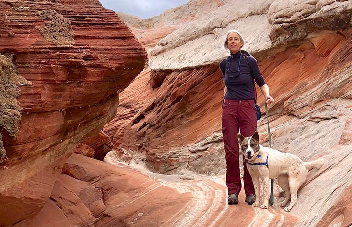 Volunteer Heather Harding takes hiking to a new level with Sun the dog