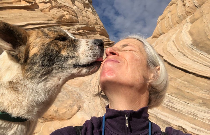 Sun the dog giving volunteer Heather Harding a kiss on her face during a hike
