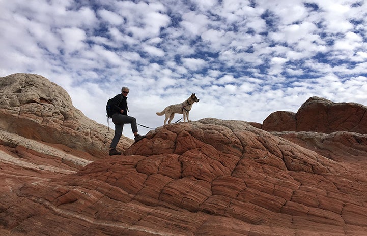 Volunteer Heather Harding with Sun the dog hiking on top of a rock formation with the sky and clouds behind them 