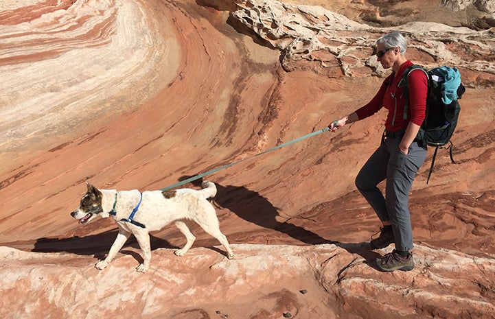 Volunteer Heather Harding walking Sun the dog the dog on a leash on a rock formation