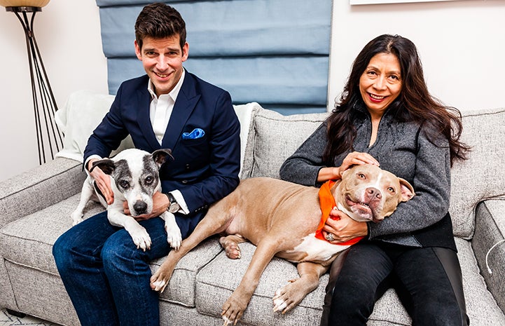 Patrick and Mayda, with their prior dog and Micky their newly adopted brown and white pit bull terrier type dog, on a couch