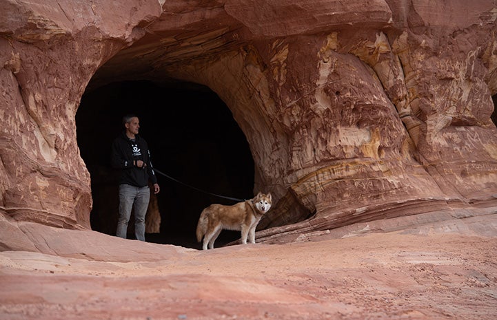 Abby the dog on a leash held by a man in a sand cave