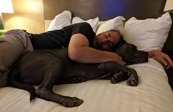 Vladimir the dog and a man snuggled up sleeping in a bed