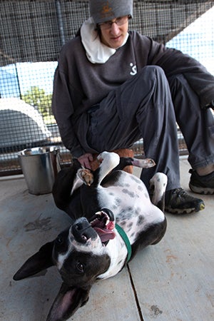 Paul the caregiver giving Lovebug the dog a belly rub