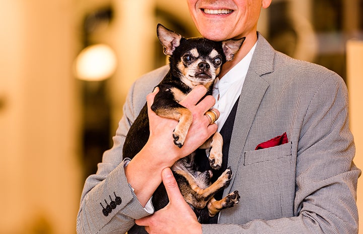 The next day, Lucio stopped by the adoption center and adopted Kikko, the senior Chihuahua
