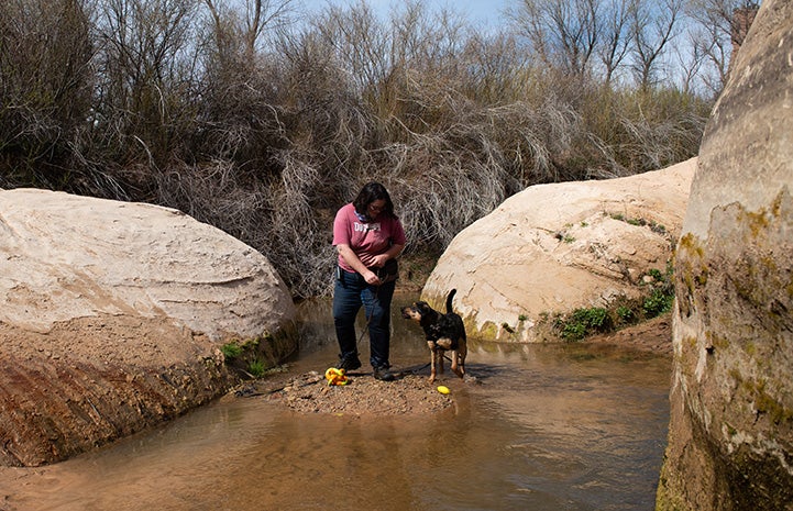 Bombay the dog at a creek with a woman