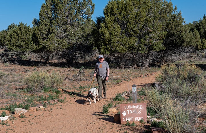 Whistler the dog being walked down a path by volunteer Fred Rainey