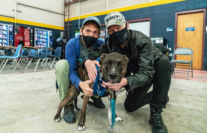Two masked people, on wearing a Navy hat, hugging a happy brindle dog