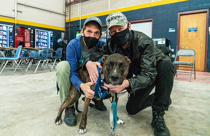 Powerful Navy SEAL Vet And K9 Combat Partner Unstoppable