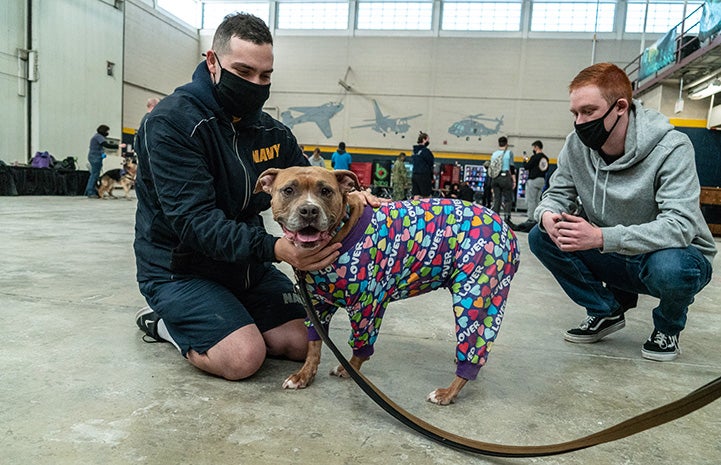Two masked men from military base posing with a smiling brown and white dog wearing pajamas