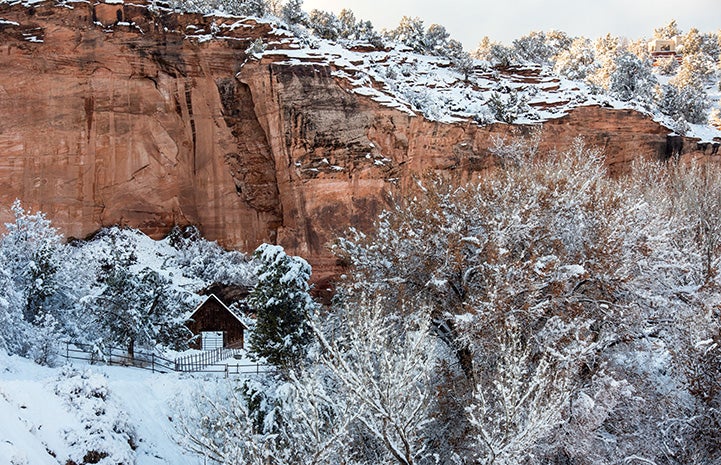 The Disney barn at Best Friends Animal Sanctuary covered in snow