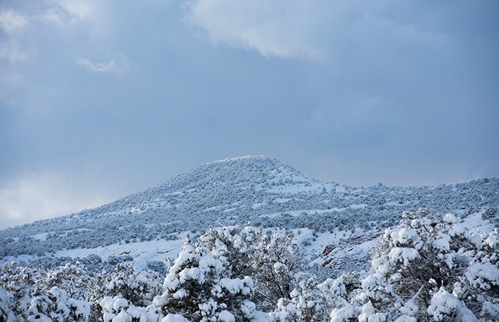 Snow on a cliff at Angel Canyon