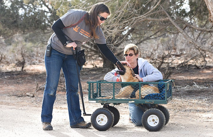 Dogtown caregiver Jess Cieplinski pulling Klaus the dog in a wagon while another woman pets him
