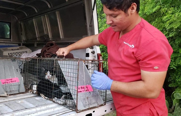 Jason holding a live trap containing a community cat ready to be released