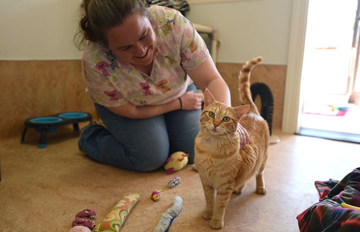 Smiling woman kneeling down to pet Boris, the orange tabby cat with epilepsy