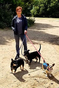 Woman outside walking three small dogs on leashes