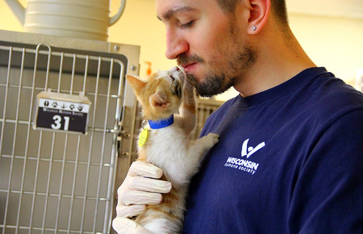 A man holding an orange and white kitten who is sniffing his face