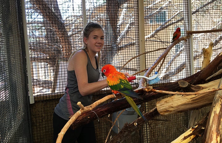 Ashley helping clean in the Adorables Room at Parrot Garden