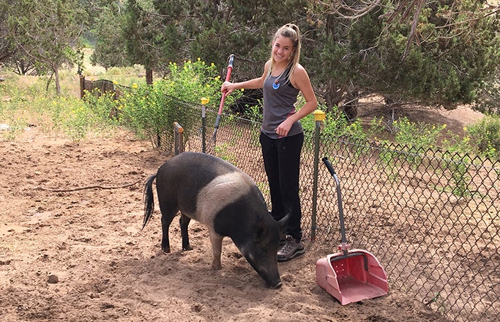 Ashley in Piggy Paradise feeding Holly the pig