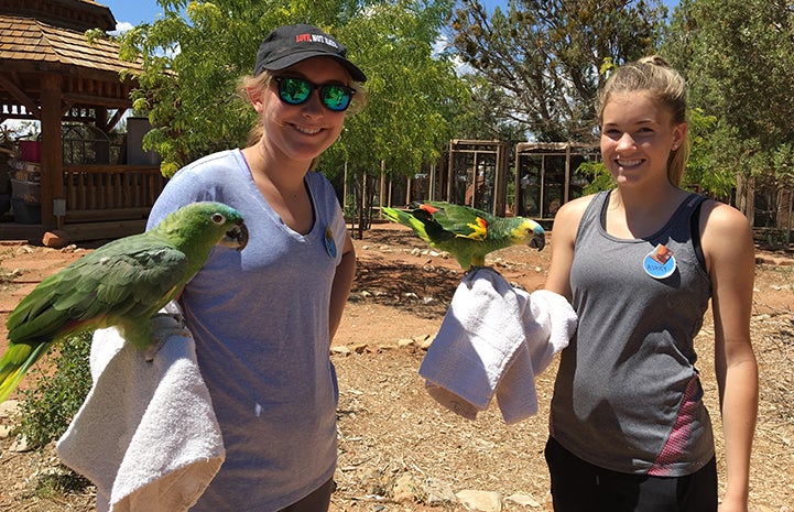 Maddy and Ashley holding parrots while volunteering at the Sanctuary