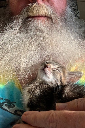 Brown tabby kitten sleeping between the arm and beard of John Tindall