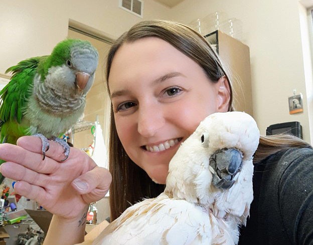 Jessica the caregiver with Rags and Olivet the parrots