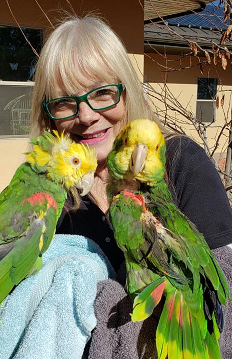 Tami the caregiver with Emma and Emily the parrots with her
