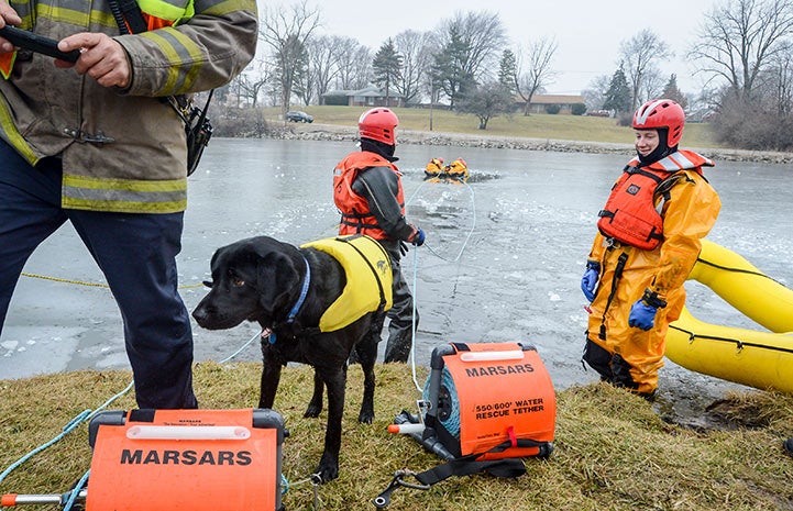 Smokey the firehouse dog at a lake with firemen participating in a water rescue
