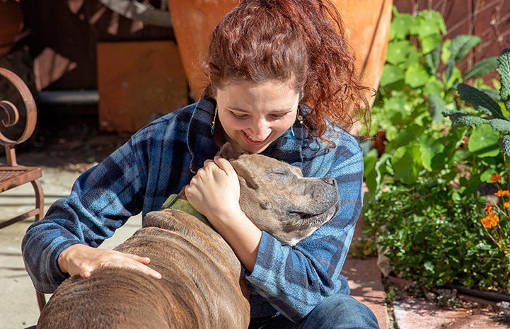 Woman wearing a pony tail and flannel shirt hugging a gray pit bull type dog