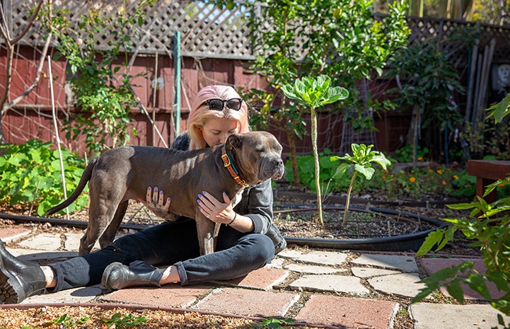 Blond woman sitting on the ground in a garden kissing a gray pit bull terrier type dog