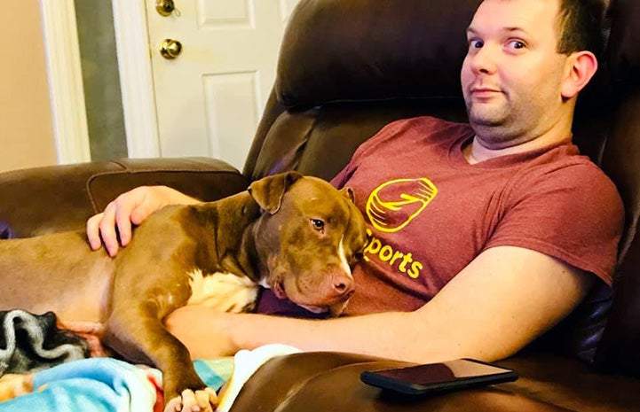 Detour the foster dog lying on a man's lap who is sitting on a chair