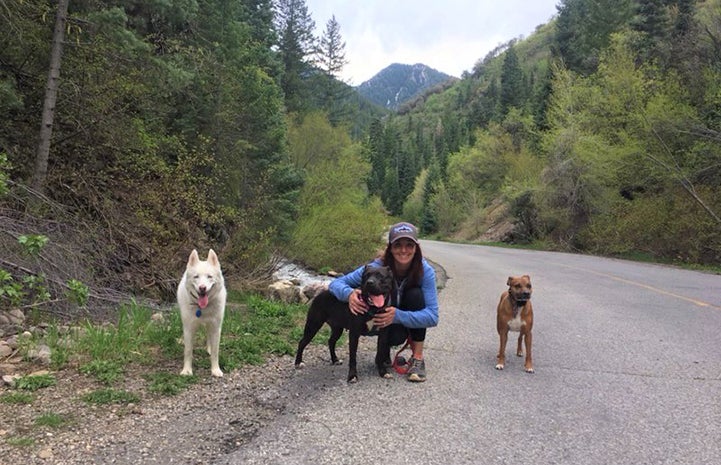 Ashley Tzioumis walking three dogs in a mountainous region