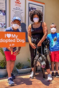 Raven the dog is adopted