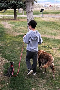 Seven-year-old William walking River the foster dog and a cat