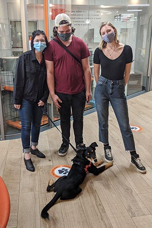 Wentworth the dog getting adopted, lying on the floor with three people standing behind him