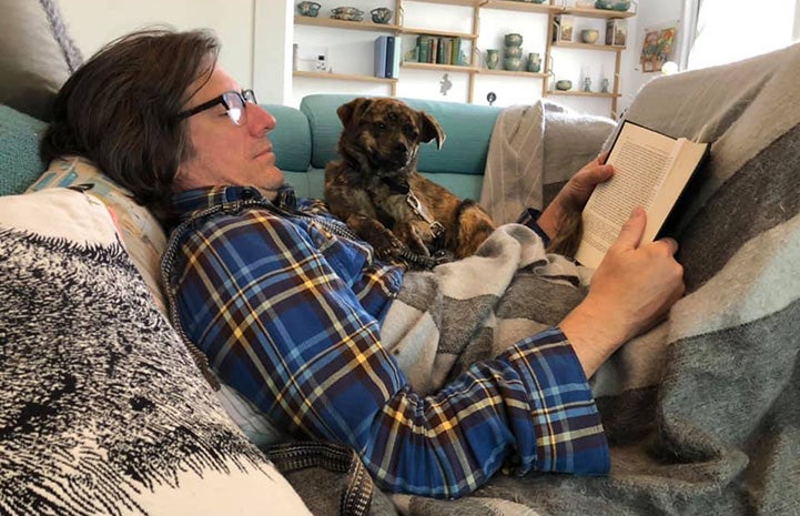 Person lying in a bed reading a book next to Mustard the foster dog