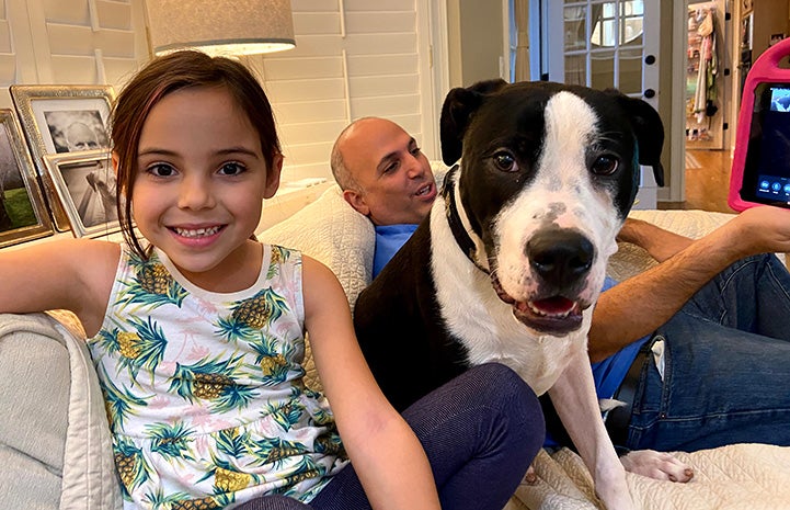 Young girl sitting next to black and white dog with a man sitting in the background