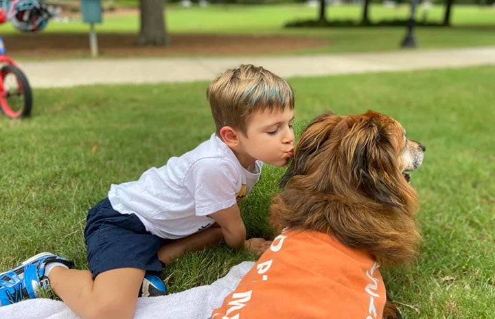 Young boy kissing a brown dog wearing a vest