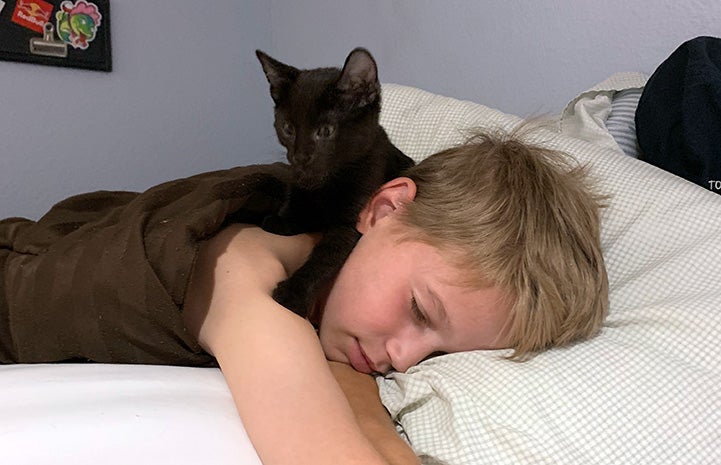 Lucas lying in bed with his kitten VGK on his head