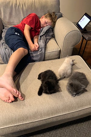 Lucas sleeping on a chair and three foster kittens sleeping by his feet on an ottoman