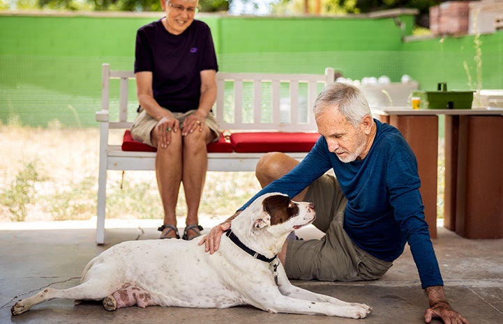 Man sitting on the ground next to a dog who is lying down, while a woman sitting on bench looks at them