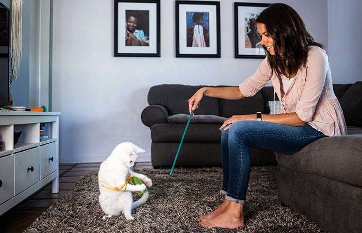 Woman sitting on a couch playing with a cat with a wand toy